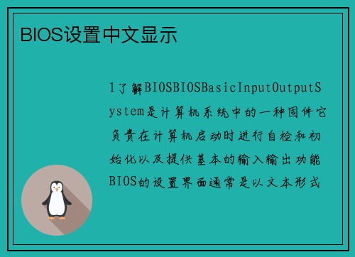 BIOS设置中文显示